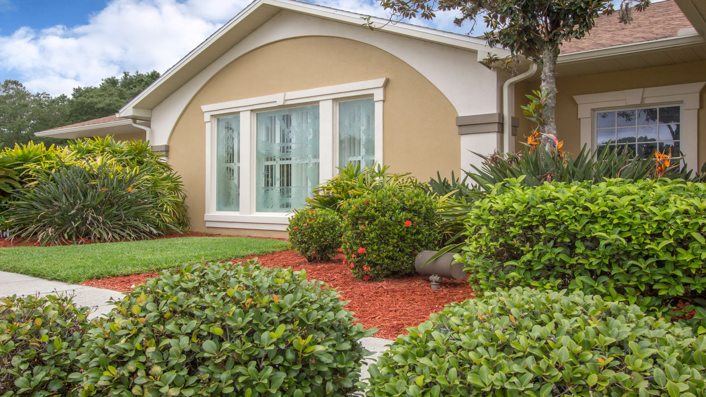 Blount & Curry Funeral Home-Carrollwood | Funeral & Cremation