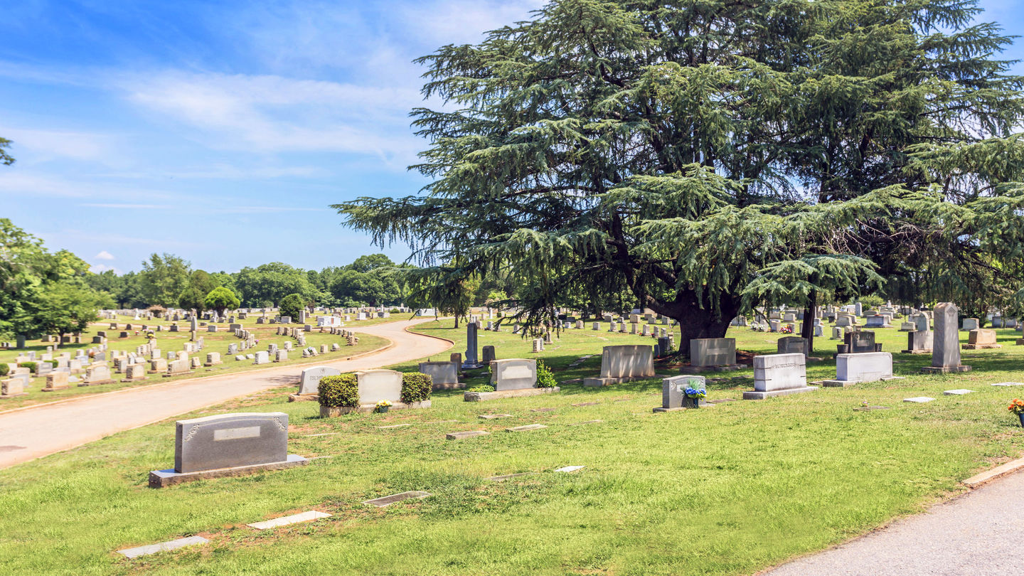 Cemetery grounds at Elmwood Cemetery