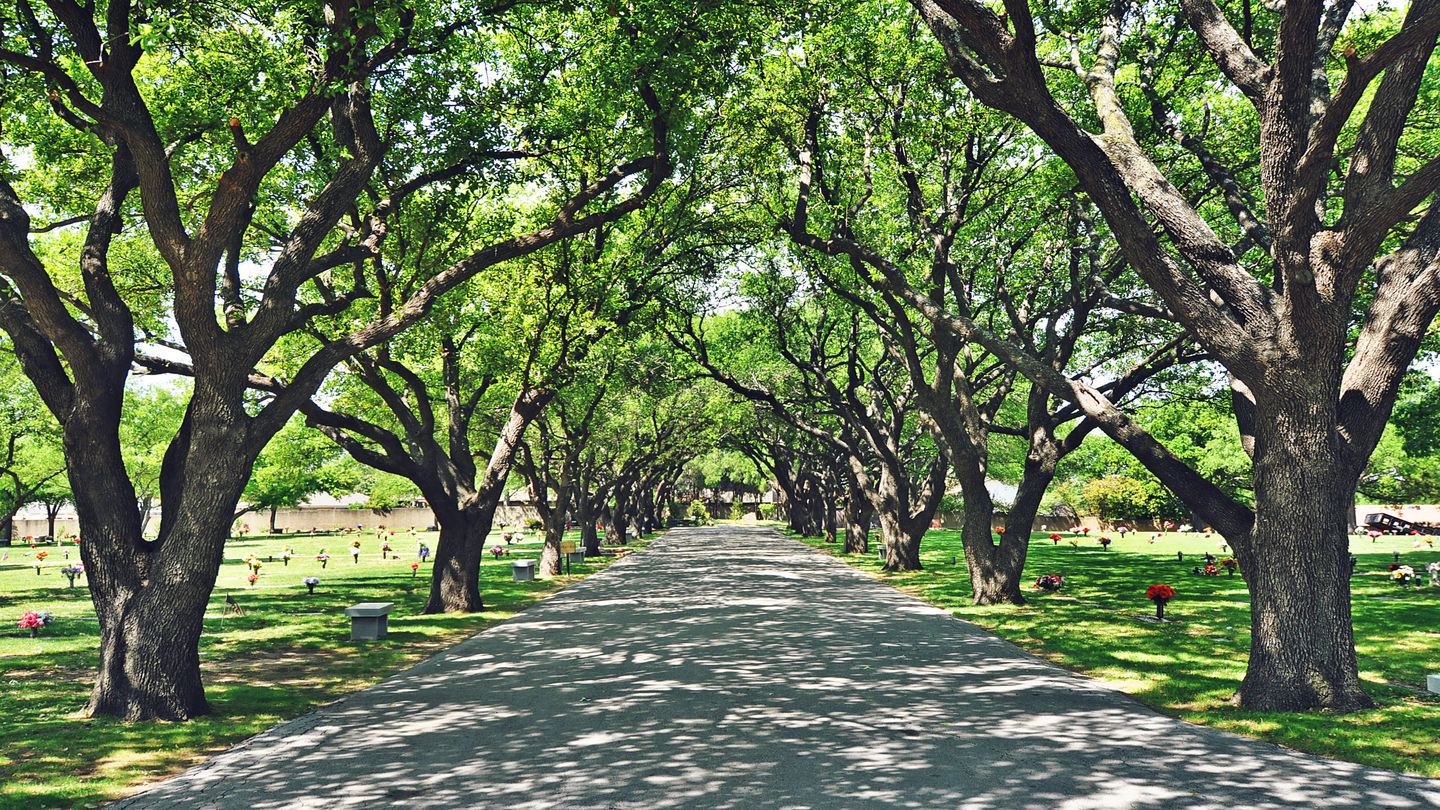 Cemetery grounds at Hilltop Memorial Park