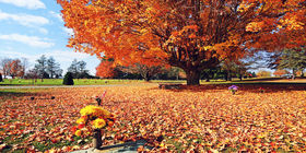 Cemetery grounds at Highland Memory Gardens