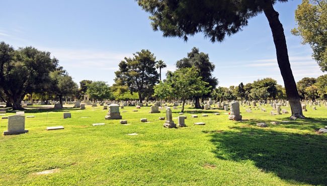 Cemetery grounds with many trees at Greenwood Memory Lawn Mortuary & Cemetery.
