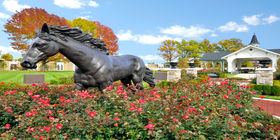 Close up view of a horse statue at Resthaven Memorial Park. 