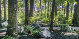 Landscaping at Boal Chapel and Memorial Gardens