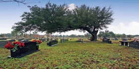 Cemetery grounds at Bayview Fisher-Pou Chapel