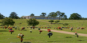 Cemetery grounds at Striffler-Hamby Mortuary
