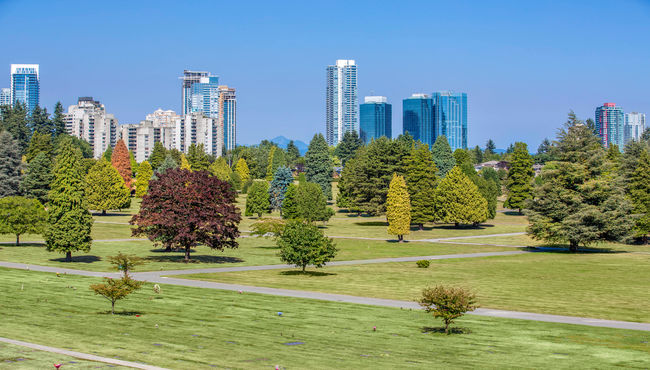 Cemetery grounds at Ocean View Burial Park