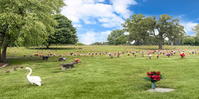 Cemetery grounds at Resthaven Cemetery