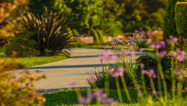 Scenic walkway with flowers, green grass and trees.
