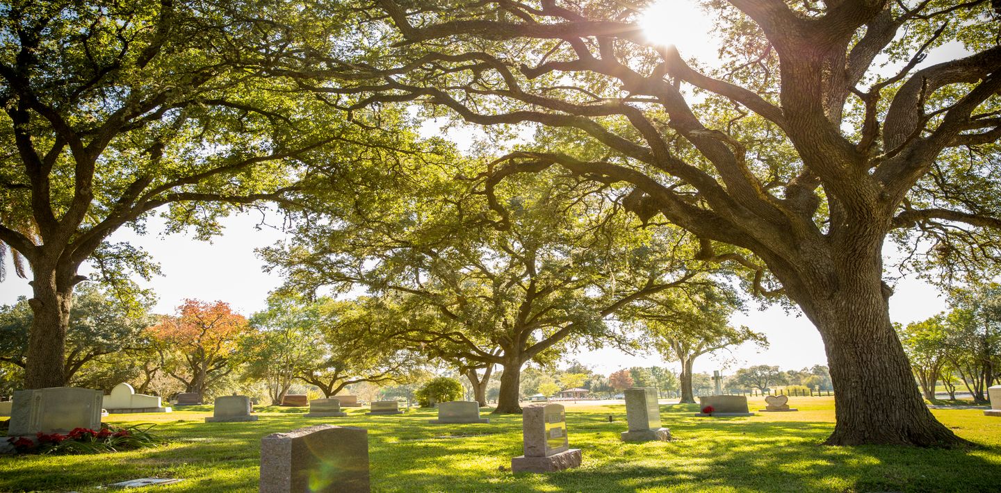 Un grand chêne surplombant un jardin communautaire avec les monuments de granite chez Forest Park Lawndale.