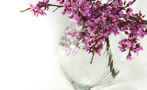 Purple flowers in glass vase, representing the Compassion Helpline