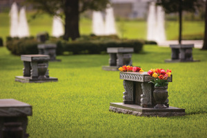 An immaculate community garden of ornate benches with fountains in the background. The memorial bench is adorned with tulips.