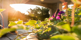 Front exterior at Geo. H. Lewis & Sons Funeral Directors