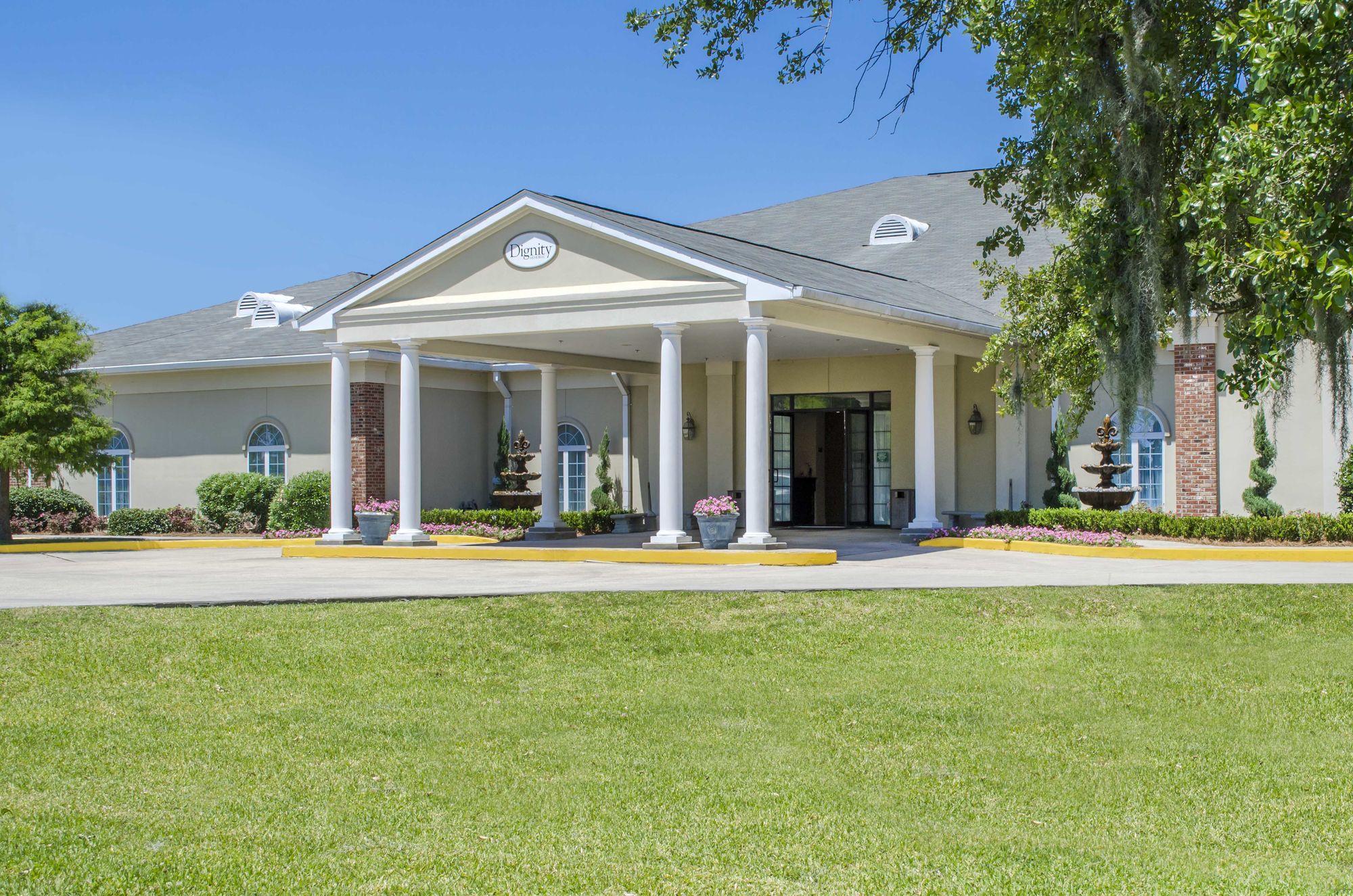 done deal st bernard