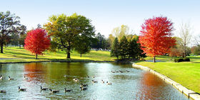 Special landscaping feature at Davenport Memorial Park