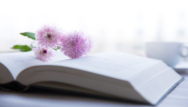 An open book laying on a table with pink flowers laying across it and a white coffee cup in the background in natural light