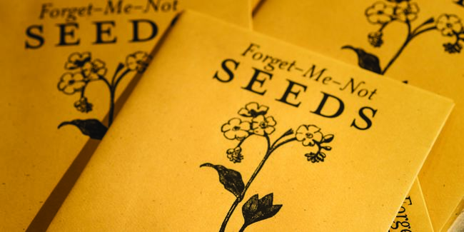 Mementos of yellow packet of seeds