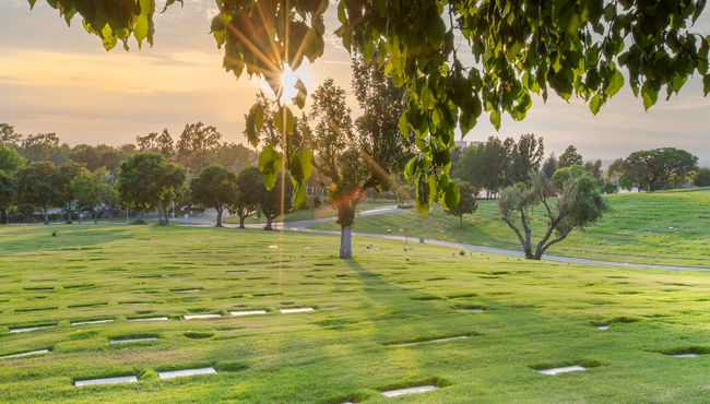Community garden with a lawn crypt and bronze markers at Pacific View Memorial Park. 