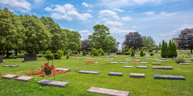 Cemetery Grounds at Memorial Park Cemetery