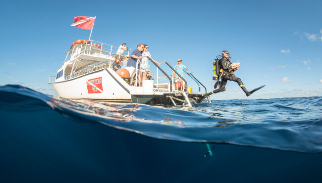 A diver enters the water with a memorial marker at Neptune Memorial Reef.