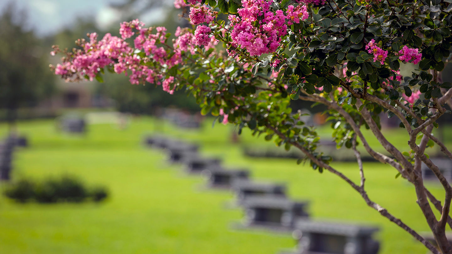 Memorial Oaks Funeral Home & Cemetery