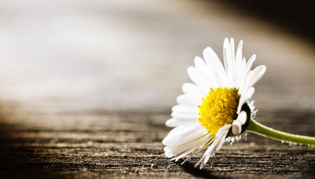 Helping-Yourself-When-Your-Child-Has-Died