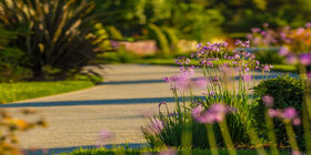Scenic walkway with flowers, green grass and trees.