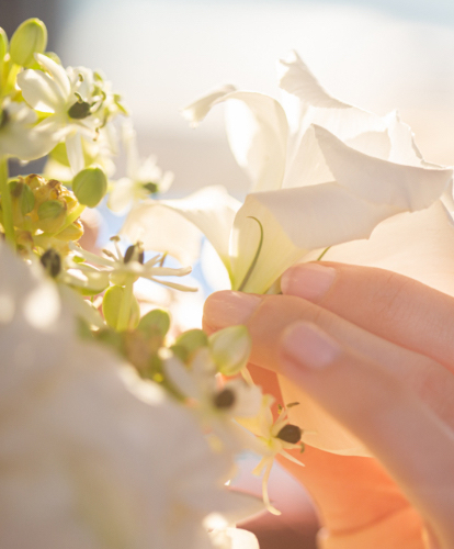 Online seminar cta background for desktop