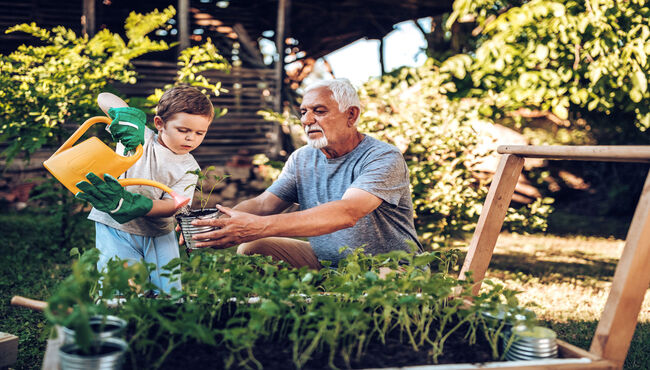 grandson and grandfather gardening