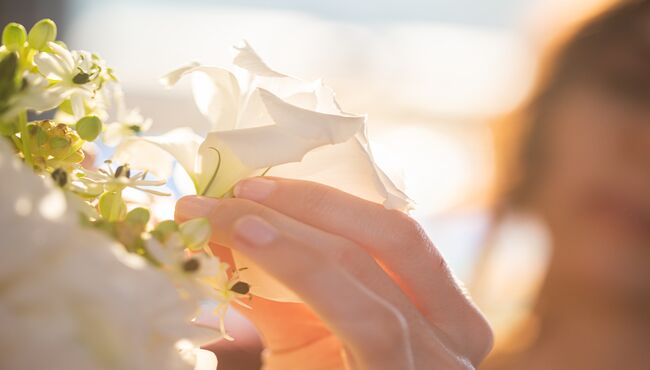 Hand arranges white flowers 