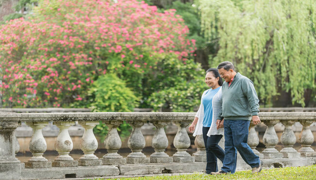 side view of couple holding hands and taking  a stroll in the park