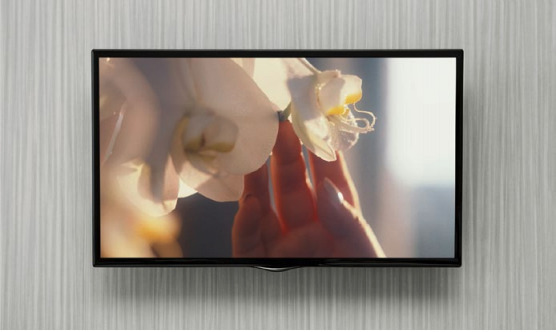 TV with flower background