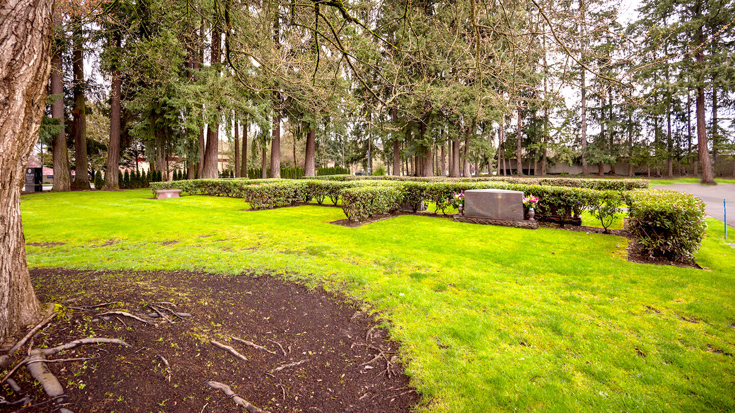 Hedge Estates Northeast Facing
