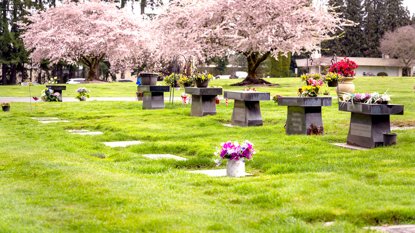 Rhododendron Benches