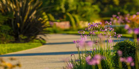 Scenic walkway with flowers, green grass and trees.