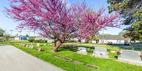 Cemetery Grounds at Kokomo Memorial Park