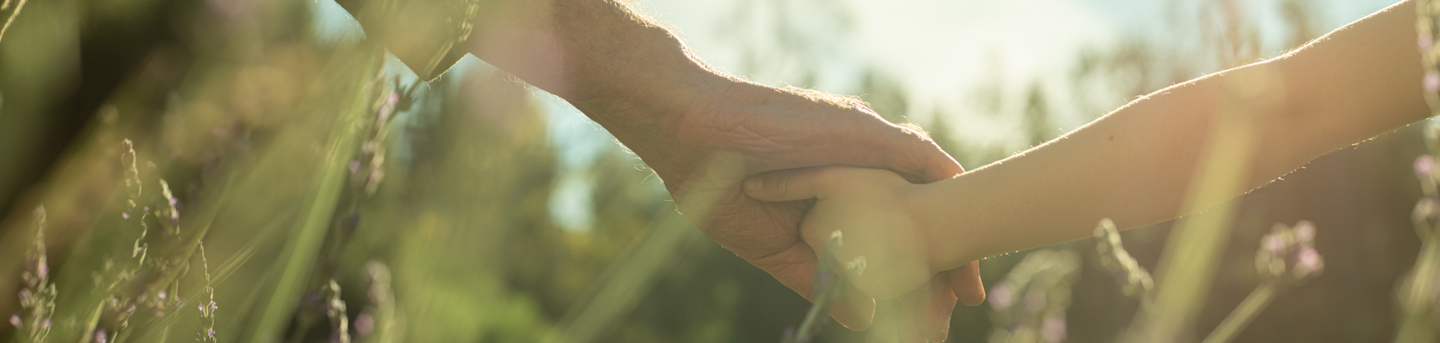 Online seminar cta background for desktop