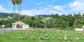 Cemetery grounds at Cementerio Parque De Luz