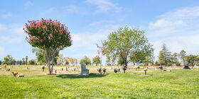 Cemetery grounds at Lawncrest Chapel & Memorial Park
