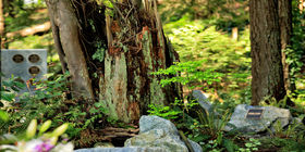 Cremation garden at Boal Chapel and Memorial Gardens
