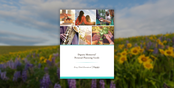 PPG guide with background