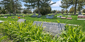 Cemetery Grounds at Irving Park Cemetery