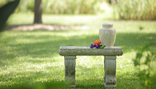 A cremation urn sits on a concrete garden bench with flowers