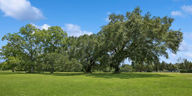 Cemetery grounds at Pine Crest Cemetery West