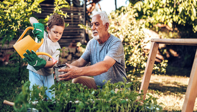 grandson and grandfather gardening