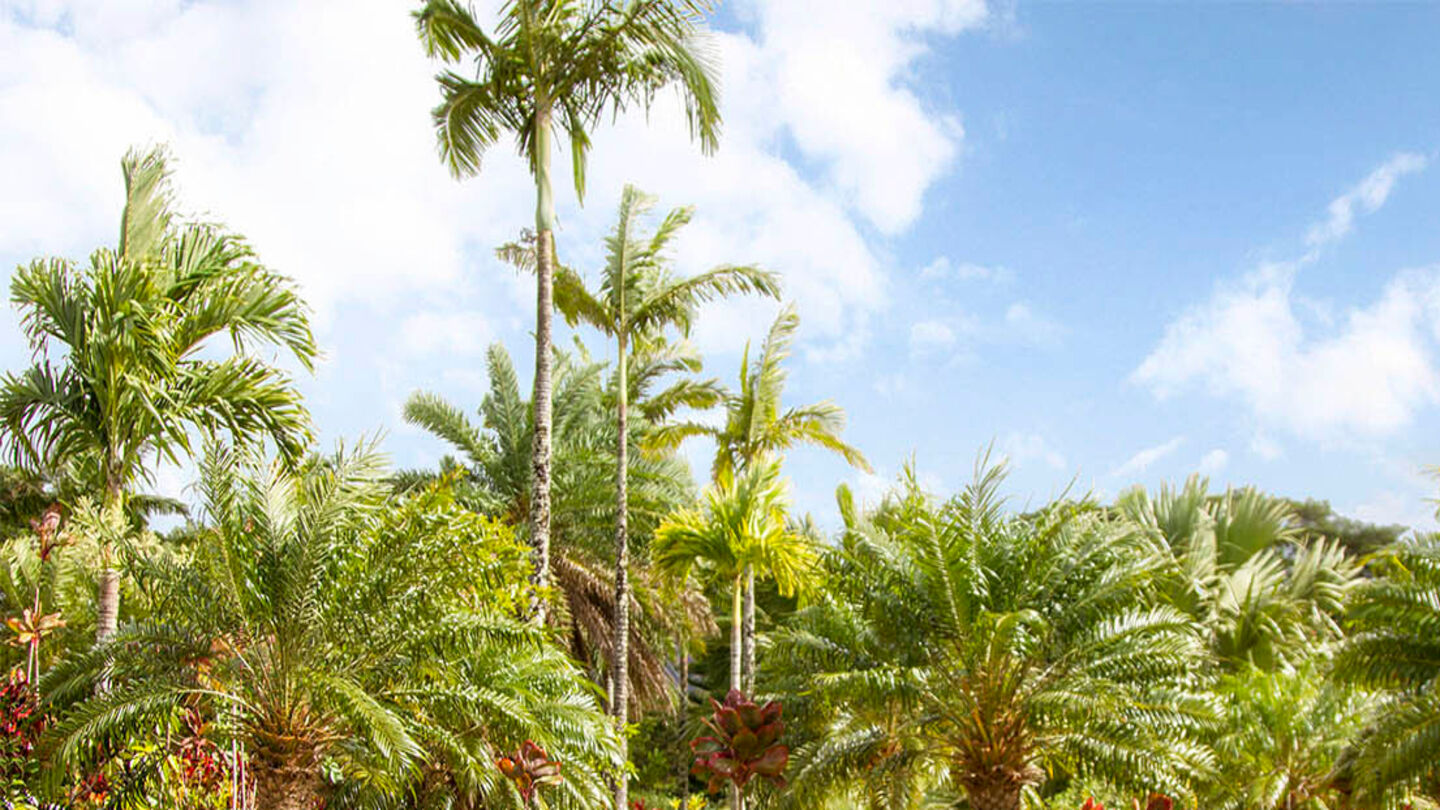 Family Bench Estates in Oceanview Garden at Hawaiian Memorial Park Cemetery 