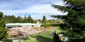 Cemetery grounds at First Memorial Funeral Services