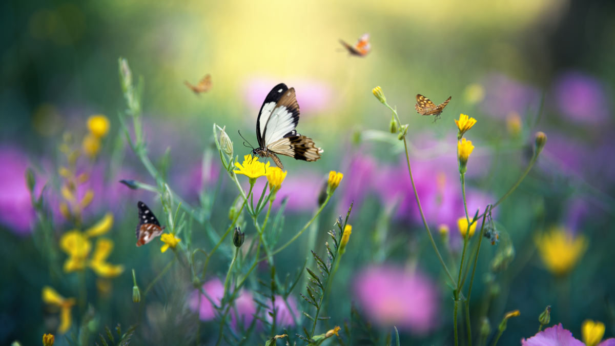 Helping Yourself When Someone You Love Has Died 8