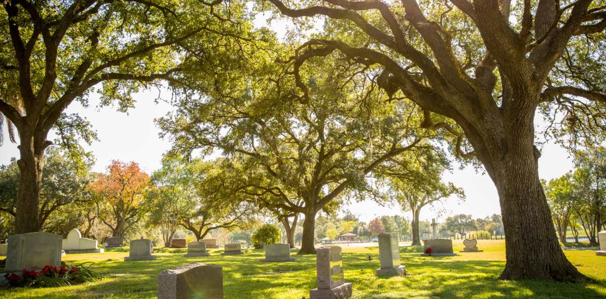 A large oak tree shades a community garden with assorted upright granite headstones at Forest Park Lawndale.