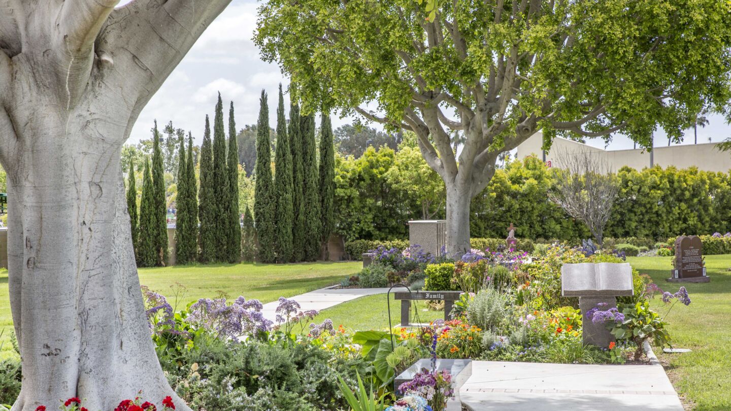 Harbor Lawn-Mt. Olive Memorial Park & Mortuary