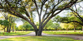 Cemetery grounds at Haven of Memories Memorial Park